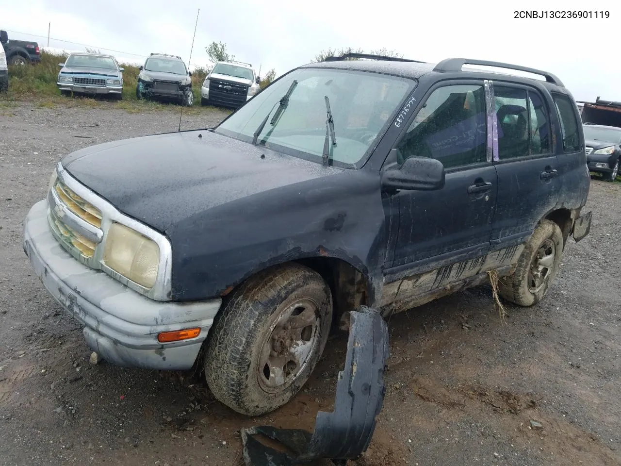 2003 Chevrolet Tracker VIN: 2CNBJ13C236901119 Lot: 68736774