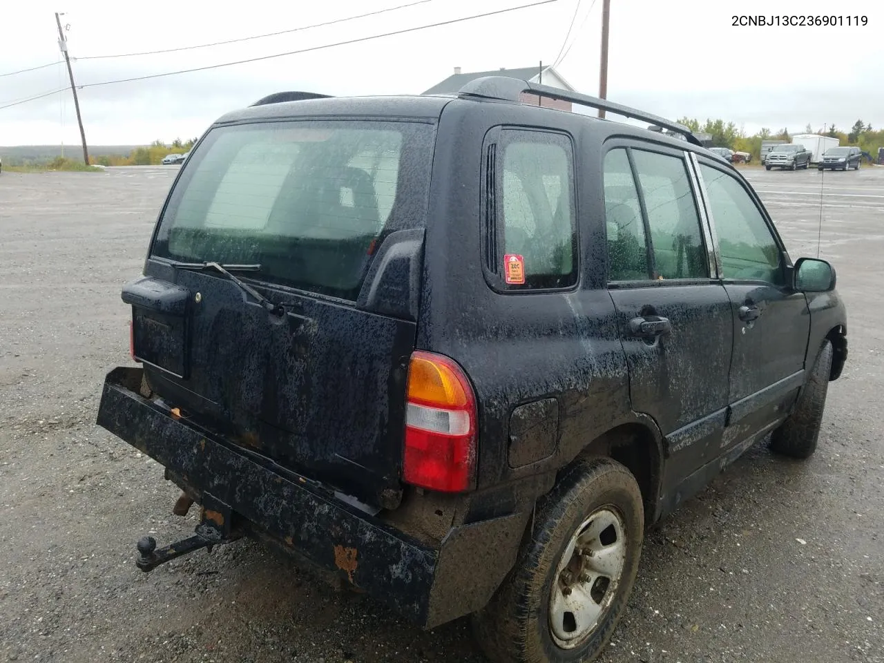 2003 Chevrolet Tracker VIN: 2CNBJ13C236901119 Lot: 68736774