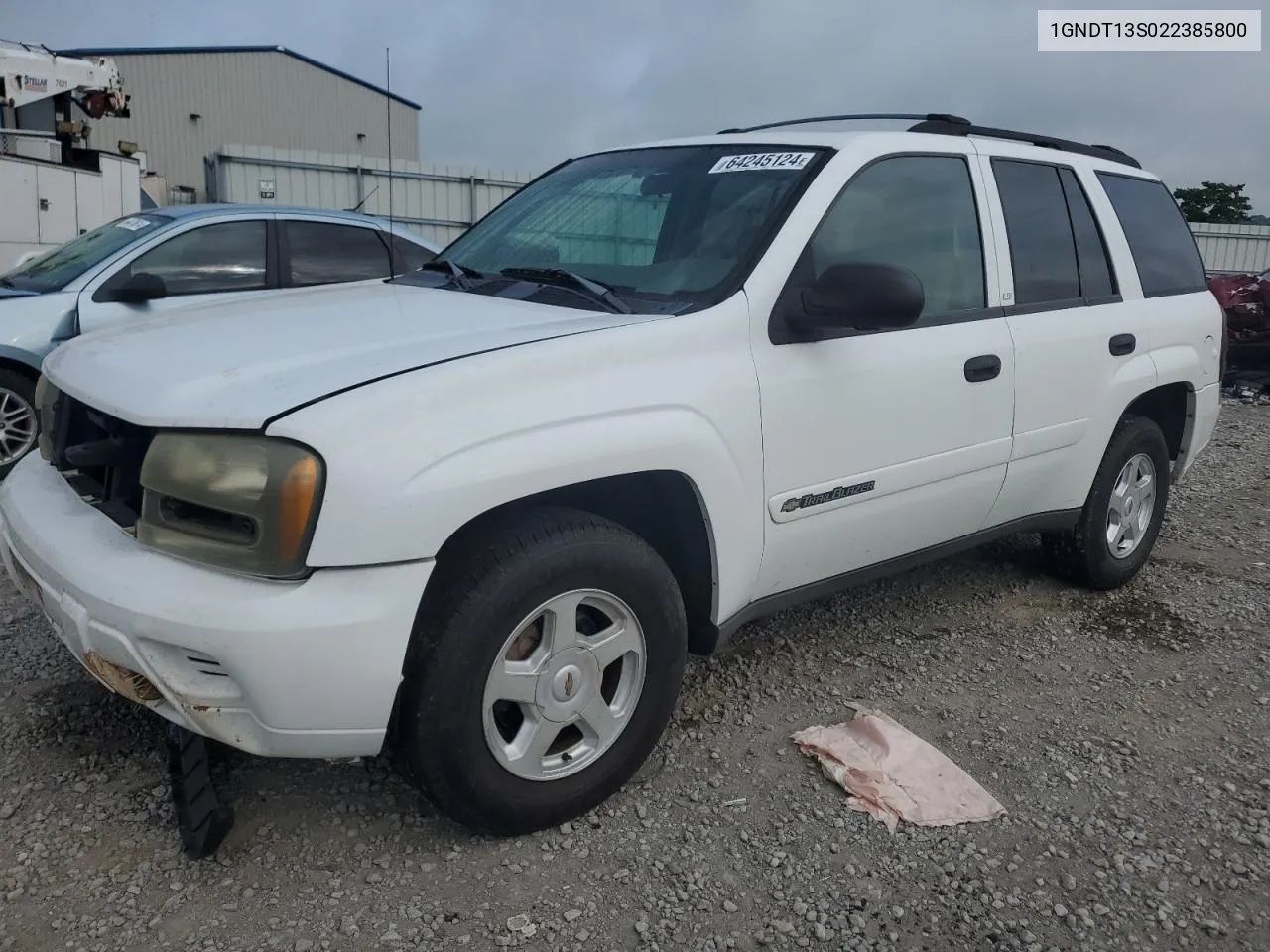 2002 Chevrolet Trailblazer VIN: 1GNDT13S022385800 Lot: 64245124