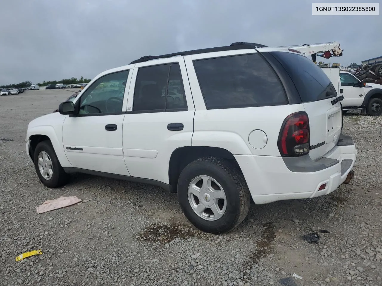 2002 Chevrolet Trailblazer VIN: 1GNDT13S022385800 Lot: 64245124