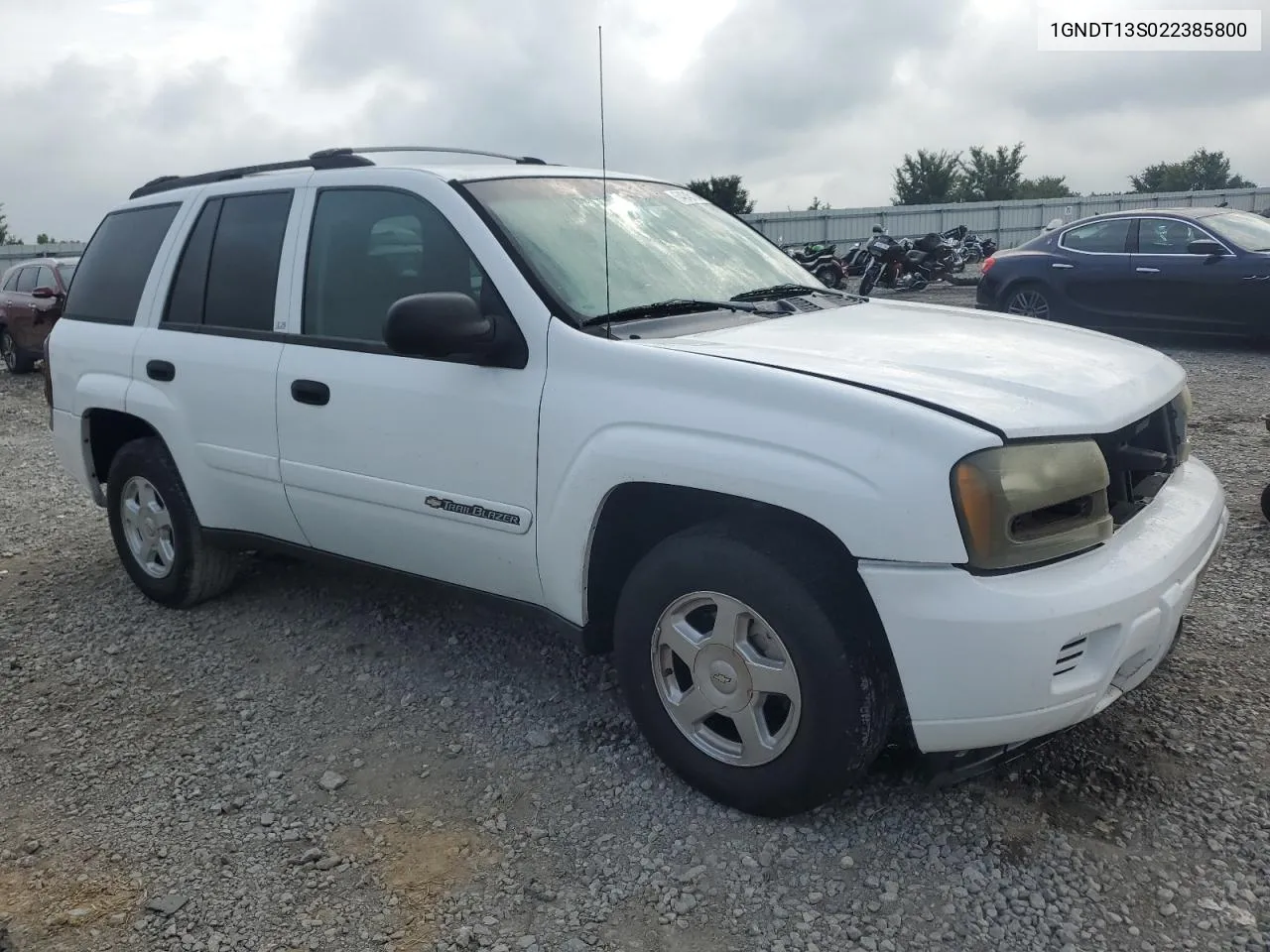 2002 Chevrolet Trailblazer VIN: 1GNDT13S022385800 Lot: 64245124