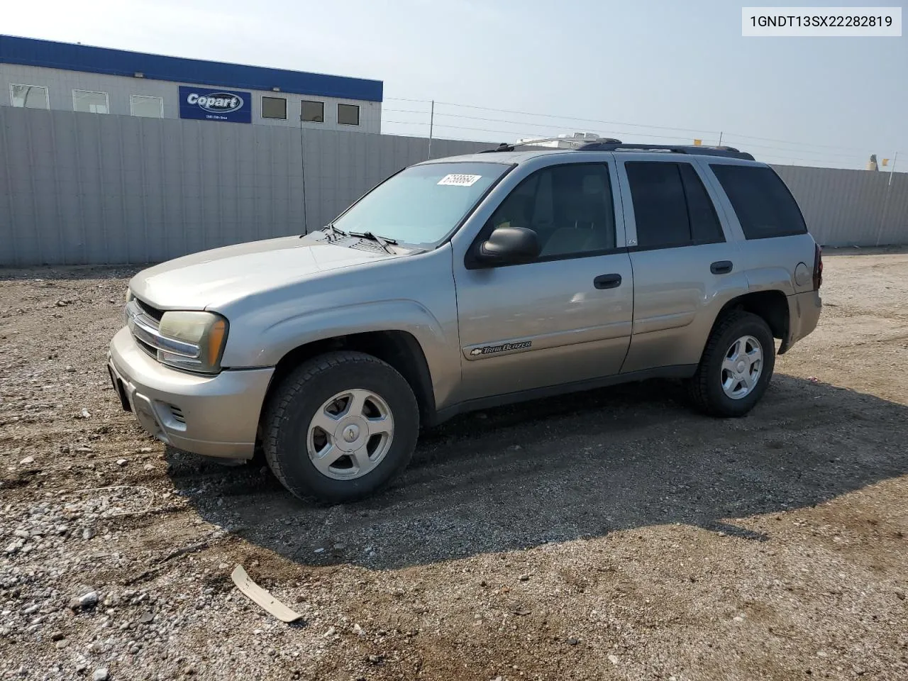 2002 Chevrolet Trailblazer VIN: 1GNDT13SX22282819 Lot: 67588664