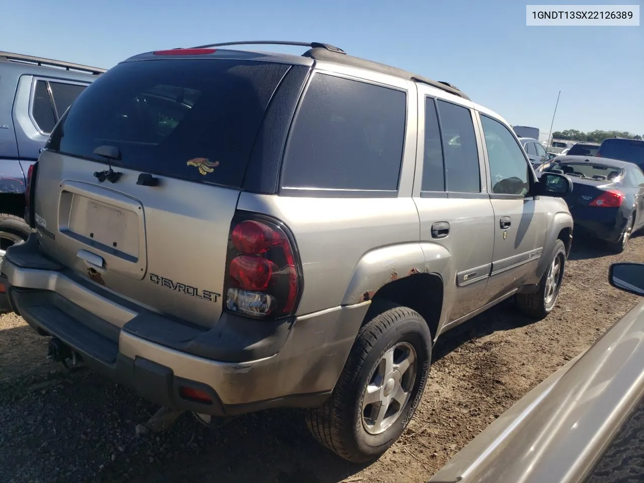 2002 Chevrolet Trailblazer VIN: 1GNDT13SX22126389 Lot: 69696064