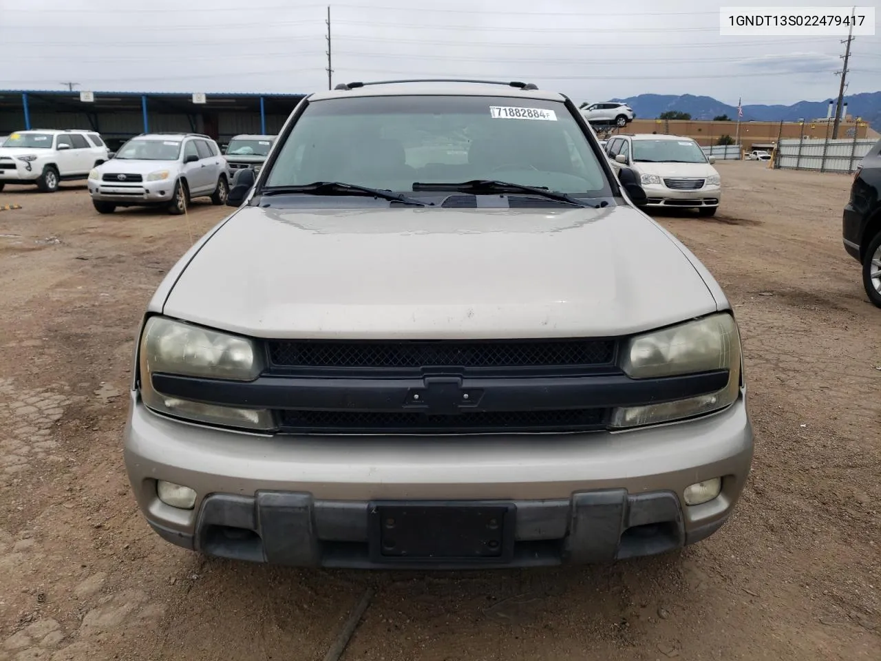 2002 Chevrolet Trailblazer VIN: 1GNDT13S022479417 Lot: 71882884