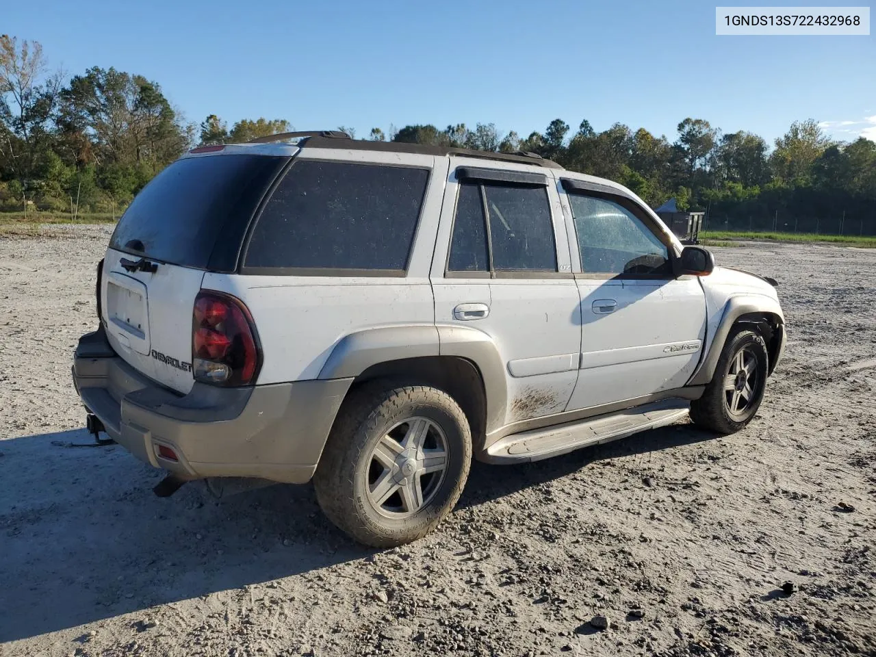 2002 Chevrolet Trailblazer VIN: 1GNDS13S722432968 Lot: 75225054