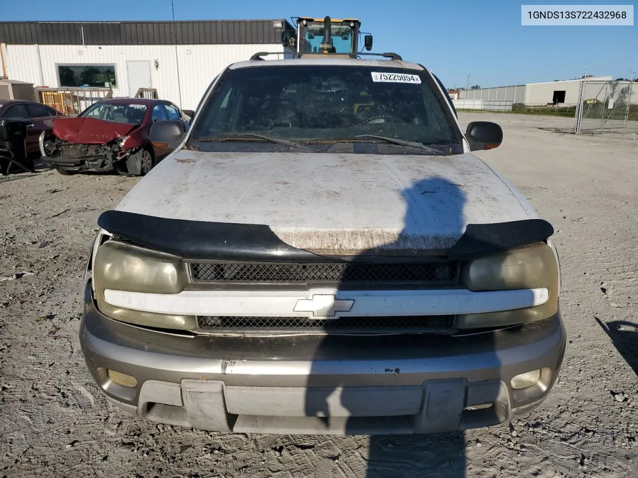 2002 Chevrolet Trailblazer VIN: 1GNDS13S722432968 Lot: 75225054