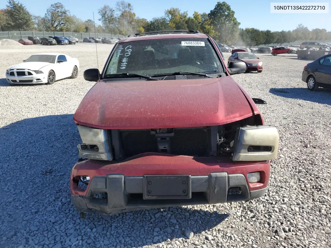 2002 Chevrolet Trailblazer VIN: 1GNDT13S422272710 Lot: 76883384