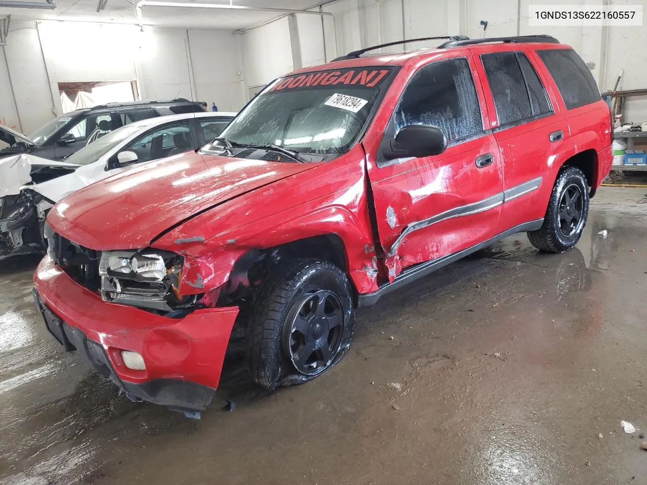 2002 Chevrolet Trailblazer VIN: 1GNDS13S622160557 Lot: 79618294