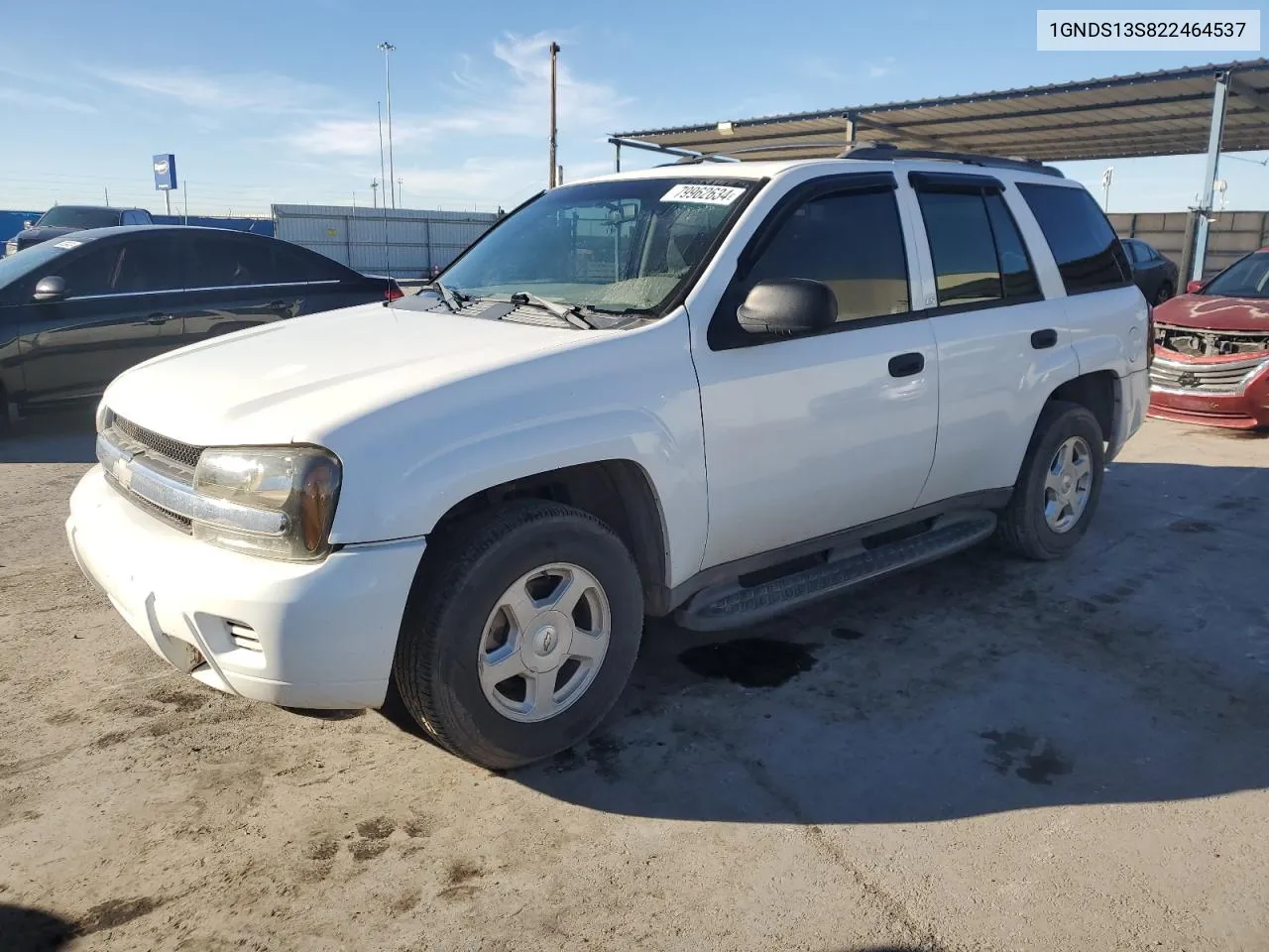 2002 Chevrolet Trailblazer VIN: 1GNDS13S822464537 Lot: 79962634