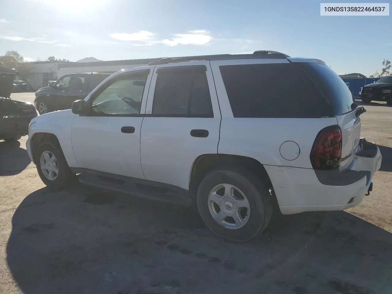 2002 Chevrolet Trailblazer VIN: 1GNDS13S822464537 Lot: 79962634