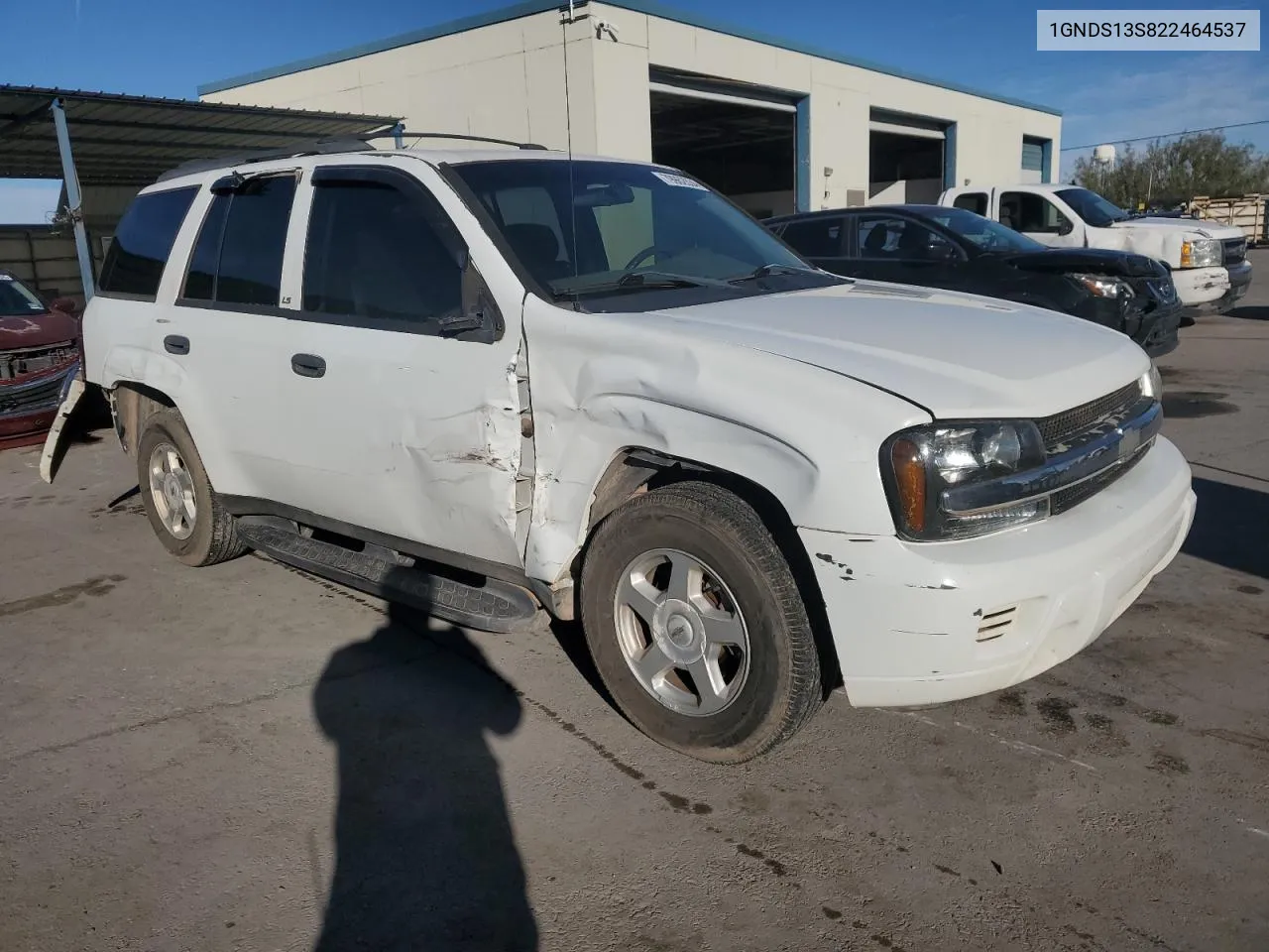 2002 Chevrolet Trailblazer VIN: 1GNDS13S822464537 Lot: 79962634