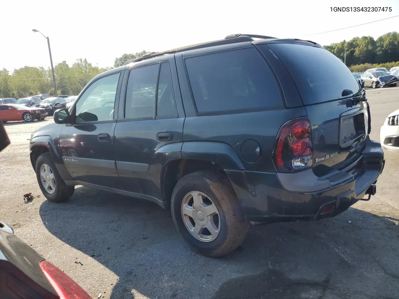 2003 Chevrolet Trailblazer VIN: 1GNDS13S432307475 Lot: 71640034