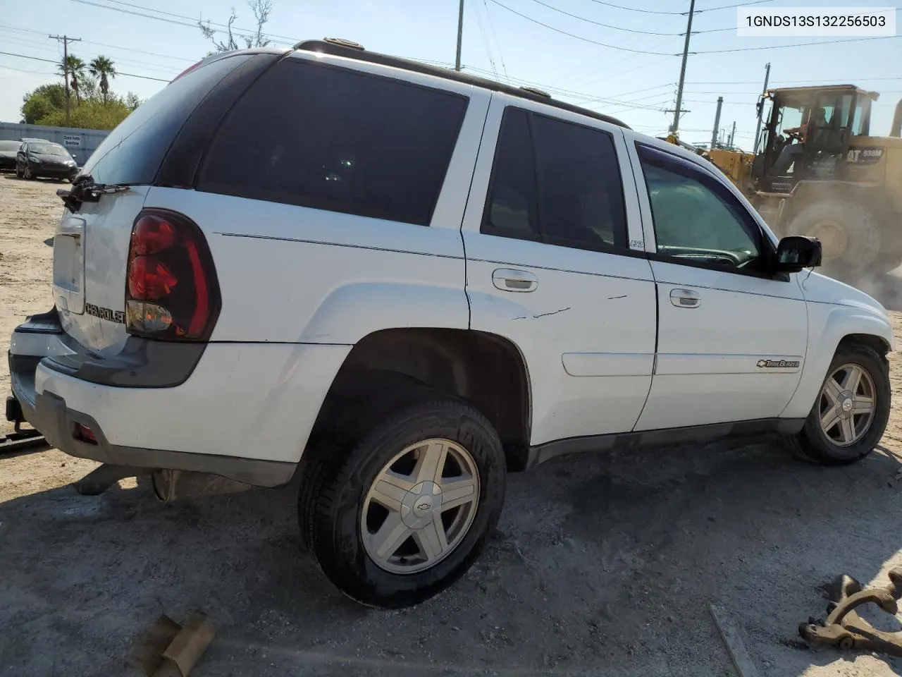 2003 Chevrolet Trailblazer VIN: 1GNDS13S132256503 Lot: 75620264