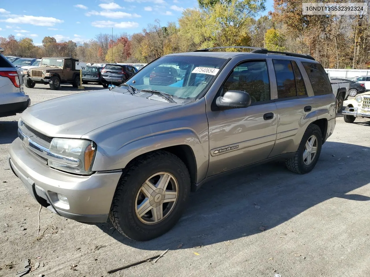 2003 Chevrolet Trailblazer VIN: 1GNDT13S532392324 Lot: 77540654