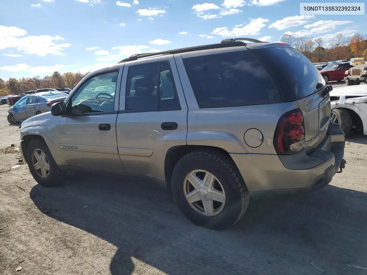 2003 Chevrolet Trailblazer VIN: 1GNDT13S532392324 Lot: 77540654