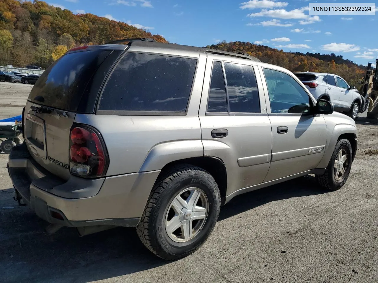 2003 Chevrolet Trailblazer VIN: 1GNDT13S532392324 Lot: 77540654