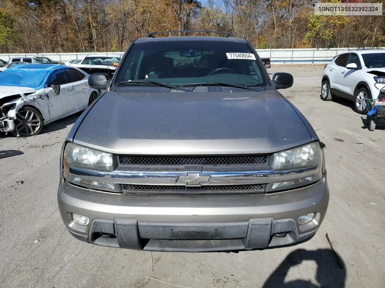 2003 Chevrolet Trailblazer VIN: 1GNDT13S532392324 Lot: 77540654