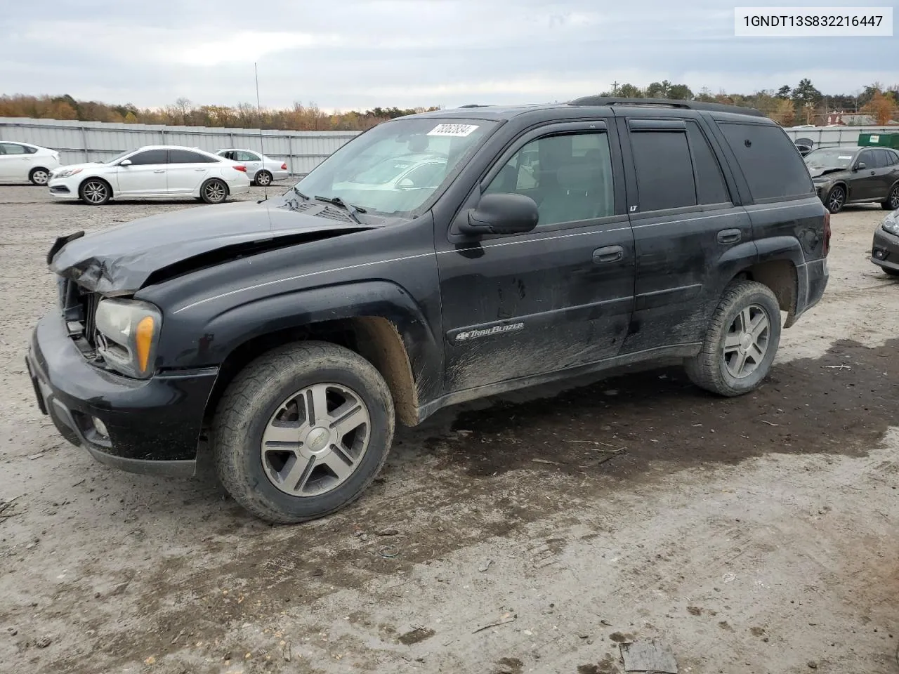 2003 Chevrolet Trailblazer VIN: 1GNDT13S832216447 Lot: 78362834