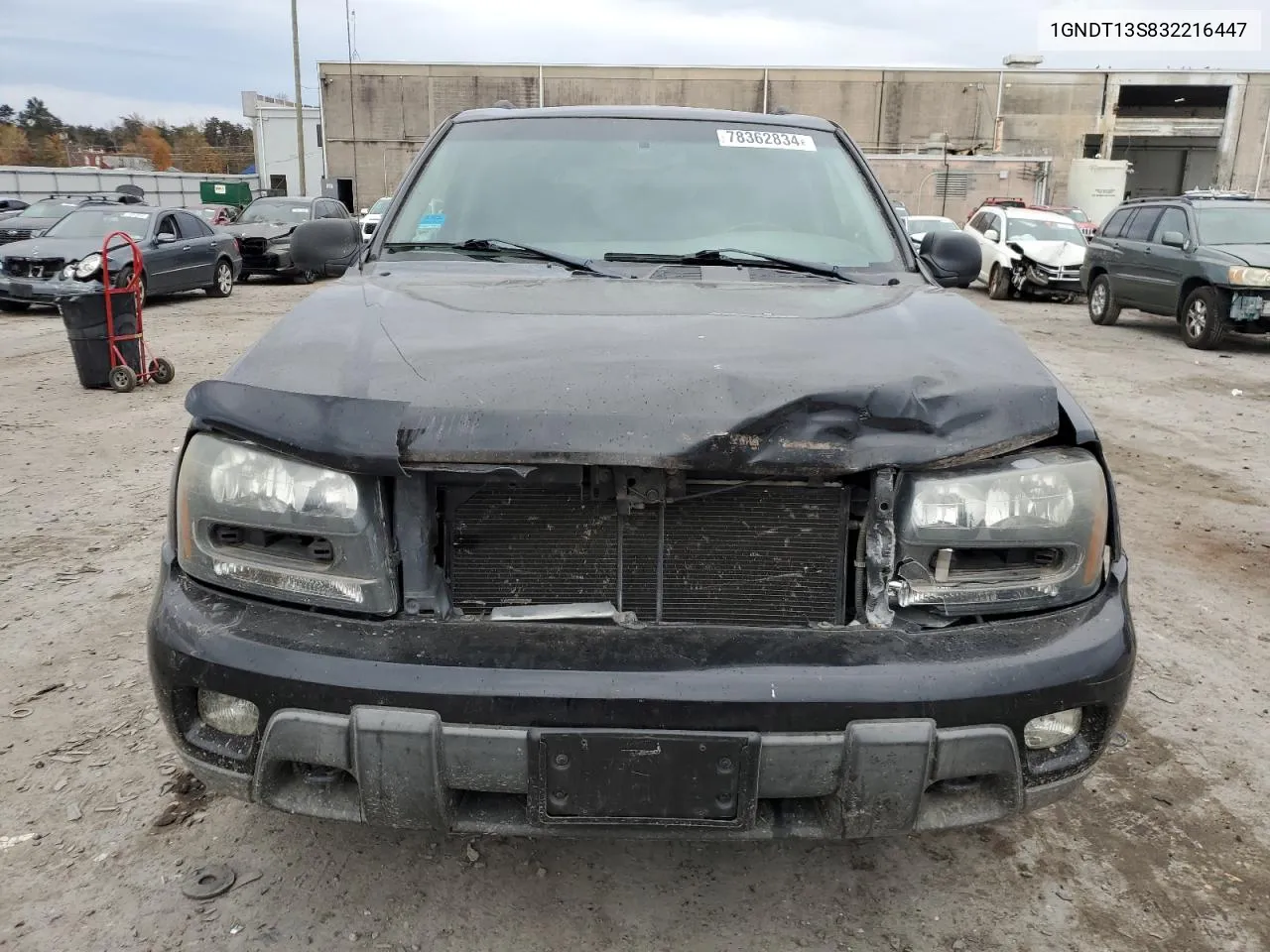 2003 Chevrolet Trailblazer VIN: 1GNDT13S832216447 Lot: 78362834