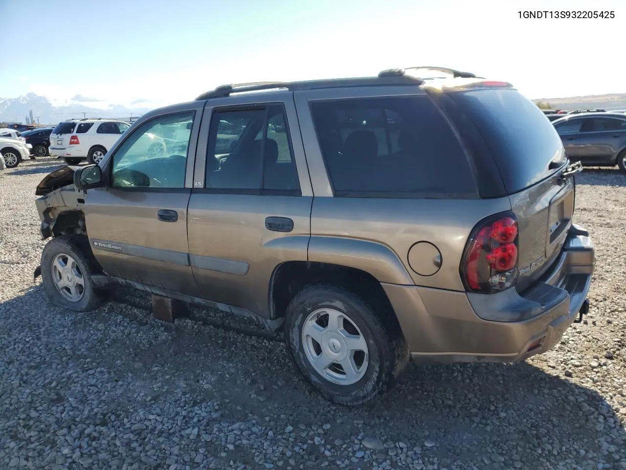 2003 Chevrolet Trailblazer VIN: 1GNDT13S932205425 Lot: 78524664