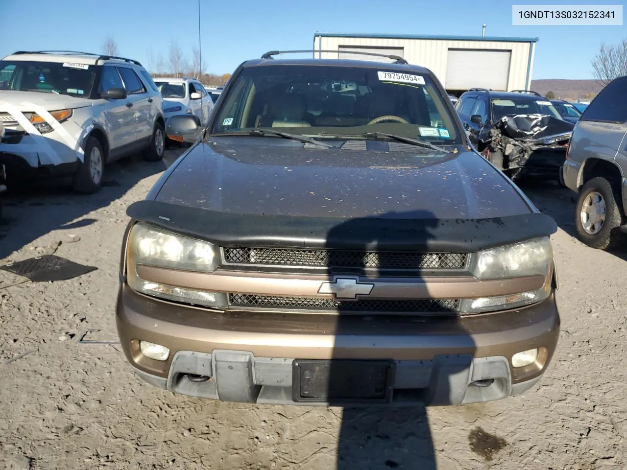 2003 Chevrolet Trailblazer VIN: 1GNDT13S032152341 Lot: 79754954