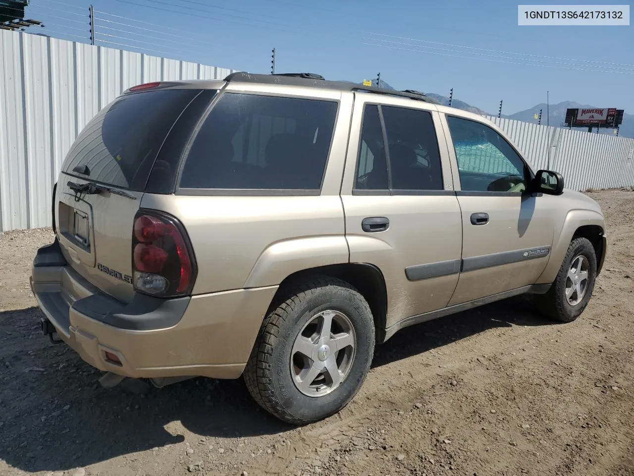 2004 Chevrolet Trailblazer Ls VIN: 1GNDT13S642173132 Lot: 69707304