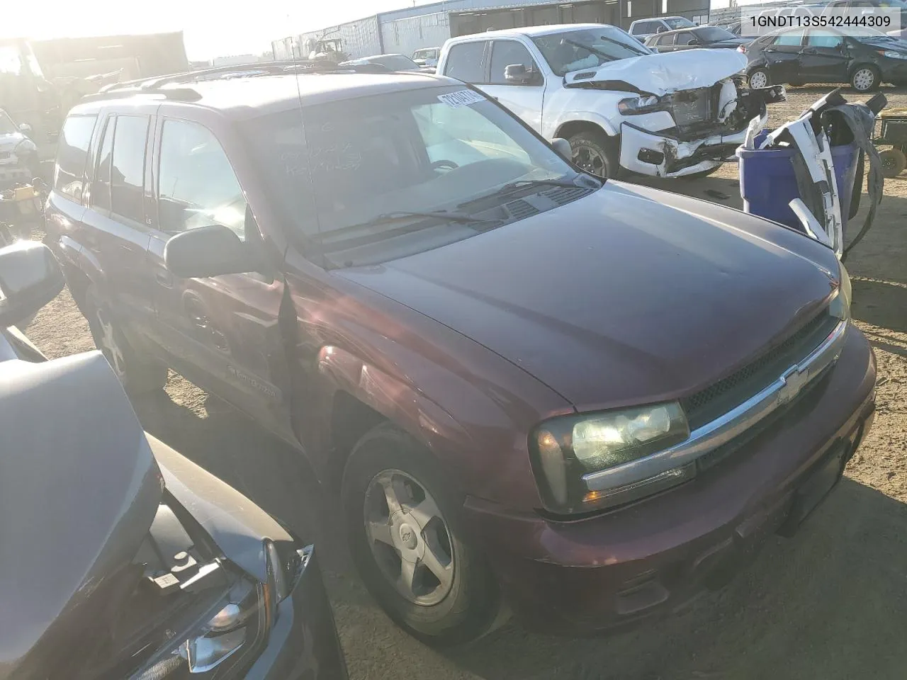 2004 Chevrolet Trailblazer Ls VIN: 1GNDT13S542444309 Lot: 72104774