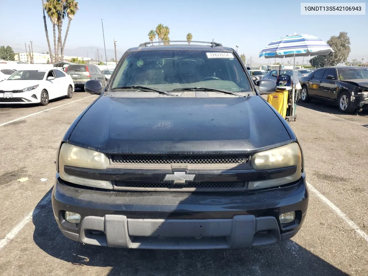 2004 Chevrolet Trailblazer Ls VIN: 1GNDT13S542106943 Lot: 72822654