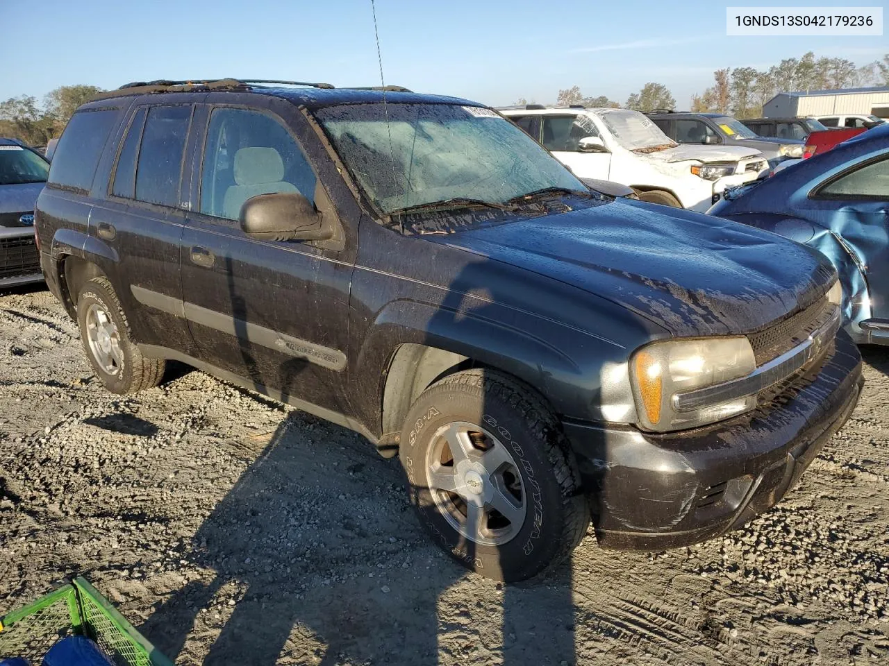 2004 Chevrolet Trailblazer Ls VIN: 1GNDS13S042179236 Lot: 76131754