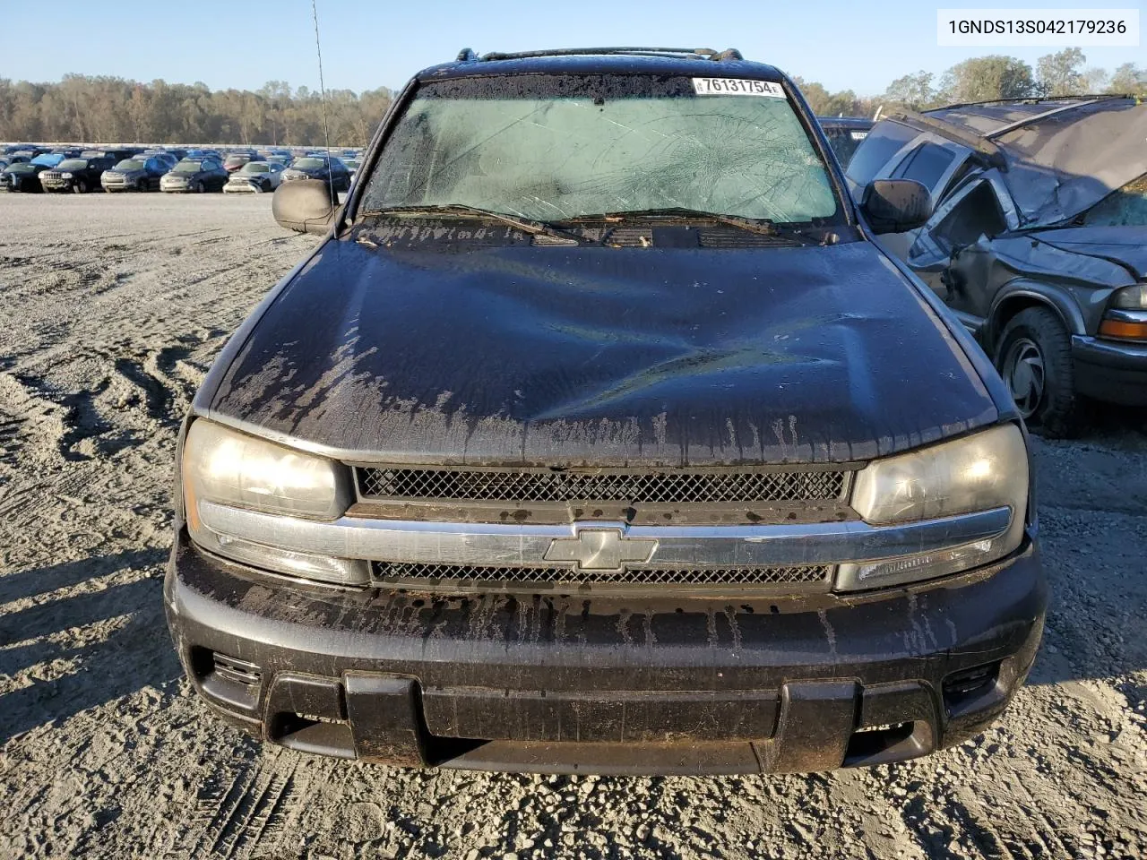 2004 Chevrolet Trailblazer Ls VIN: 1GNDS13S042179236 Lot: 76131754