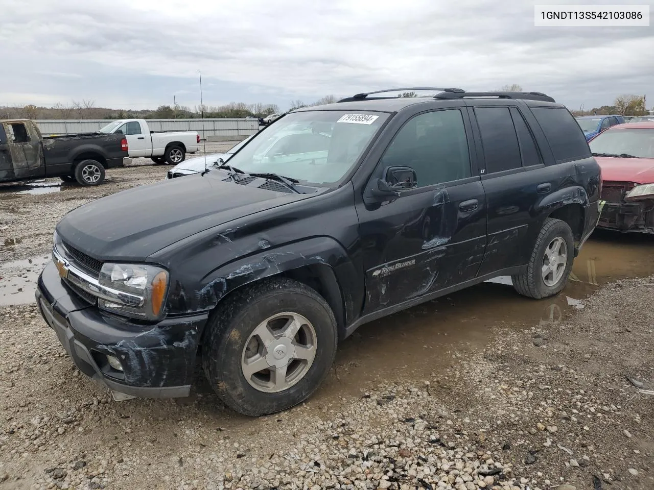 2004 Chevrolet Trailblazer Ls VIN: 1GNDT13S542103086 Lot: 79155894