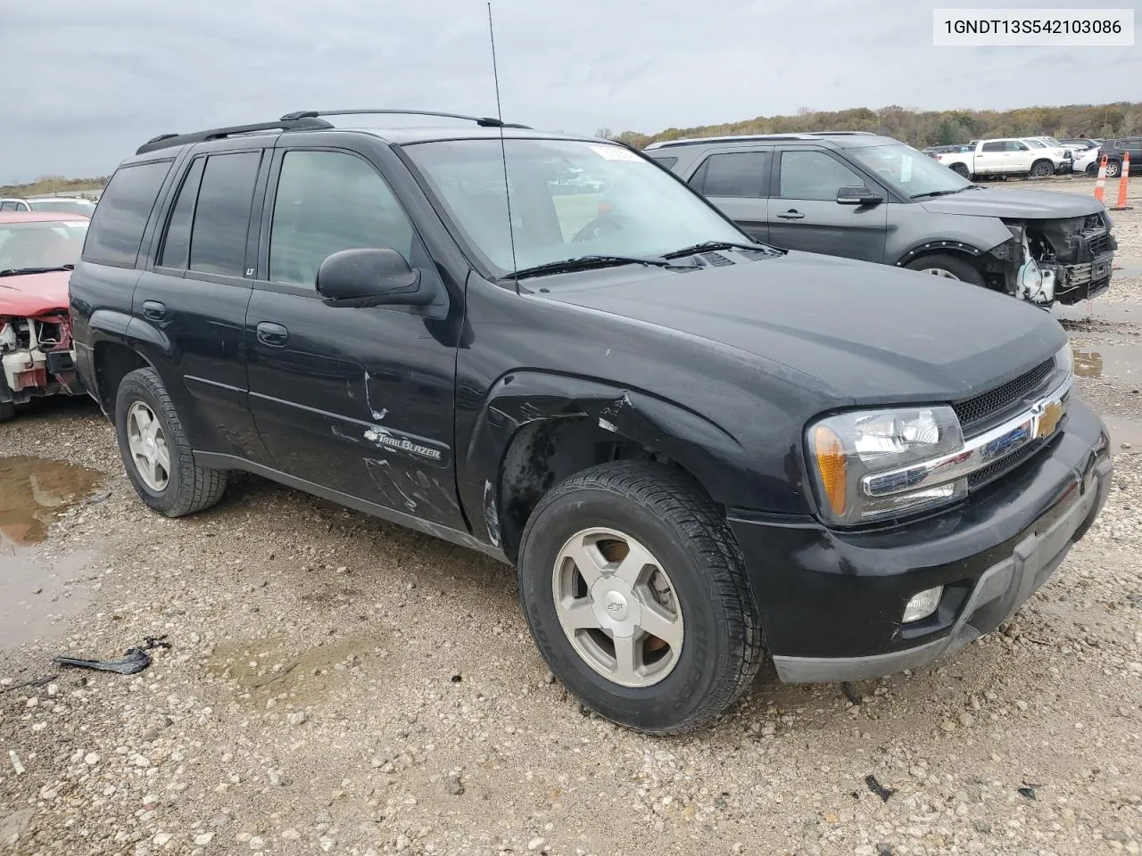 2004 Chevrolet Trailblazer Ls VIN: 1GNDT13S542103086 Lot: 79155894