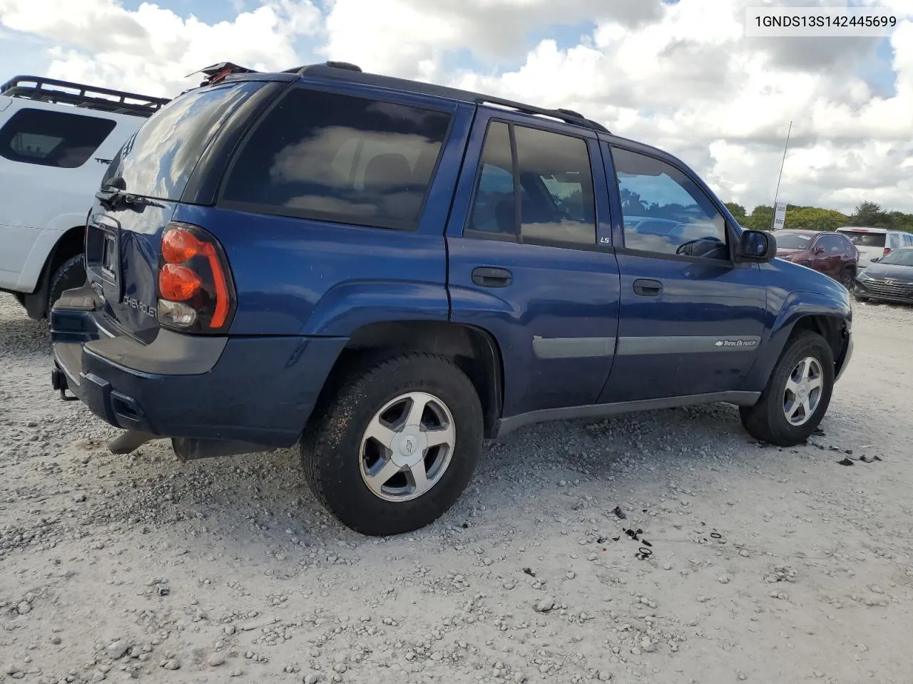 2004 Chevrolet Trailblazer Ls VIN: 1GNDS13S142445699 Lot: 80252174