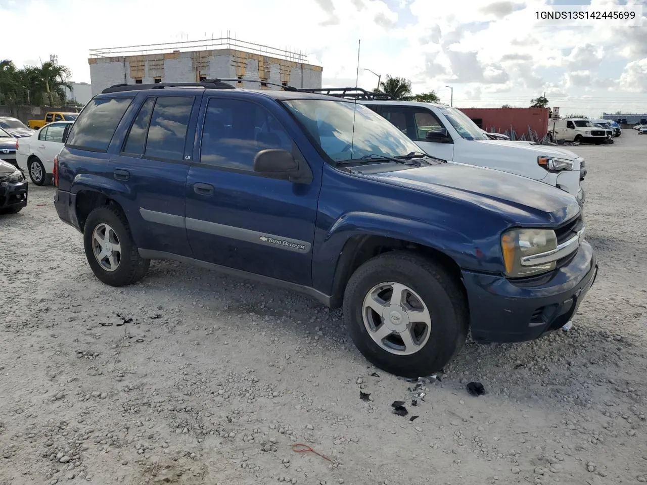 2004 Chevrolet Trailblazer Ls VIN: 1GNDS13S142445699 Lot: 80252174