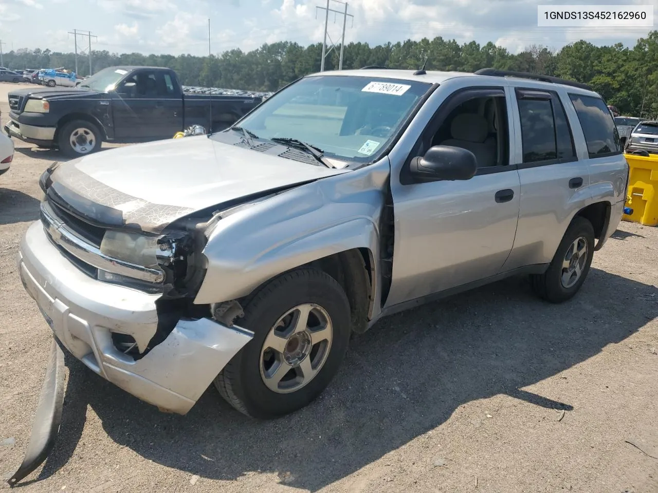 2005 Chevrolet Trailblazer Ls VIN: 1GNDS13S452162960 Lot: 67789014