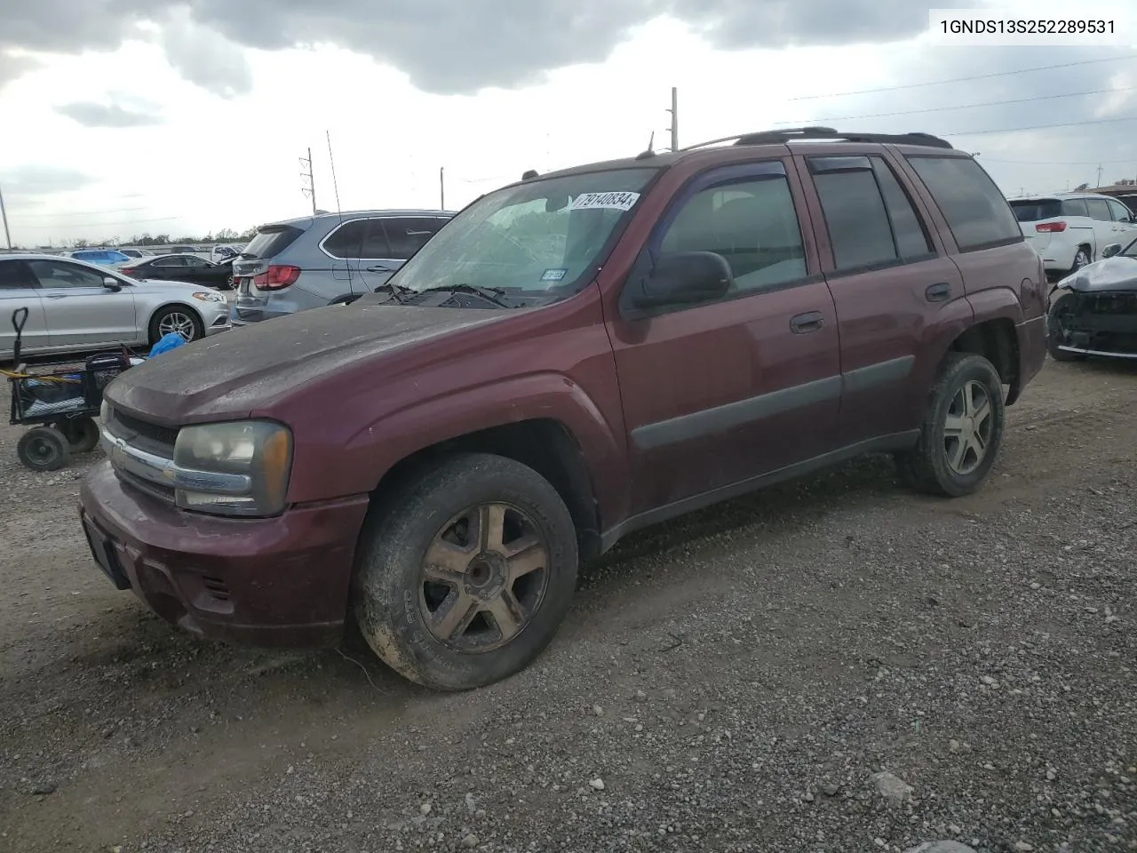 2005 Chevrolet Trailblazer Ls VIN: 1GNDS13S252289531 Lot: 79140834