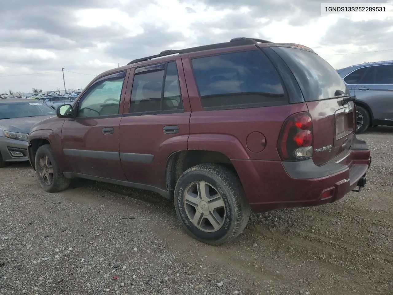 2005 Chevrolet Trailblazer Ls VIN: 1GNDS13S252289531 Lot: 79140834