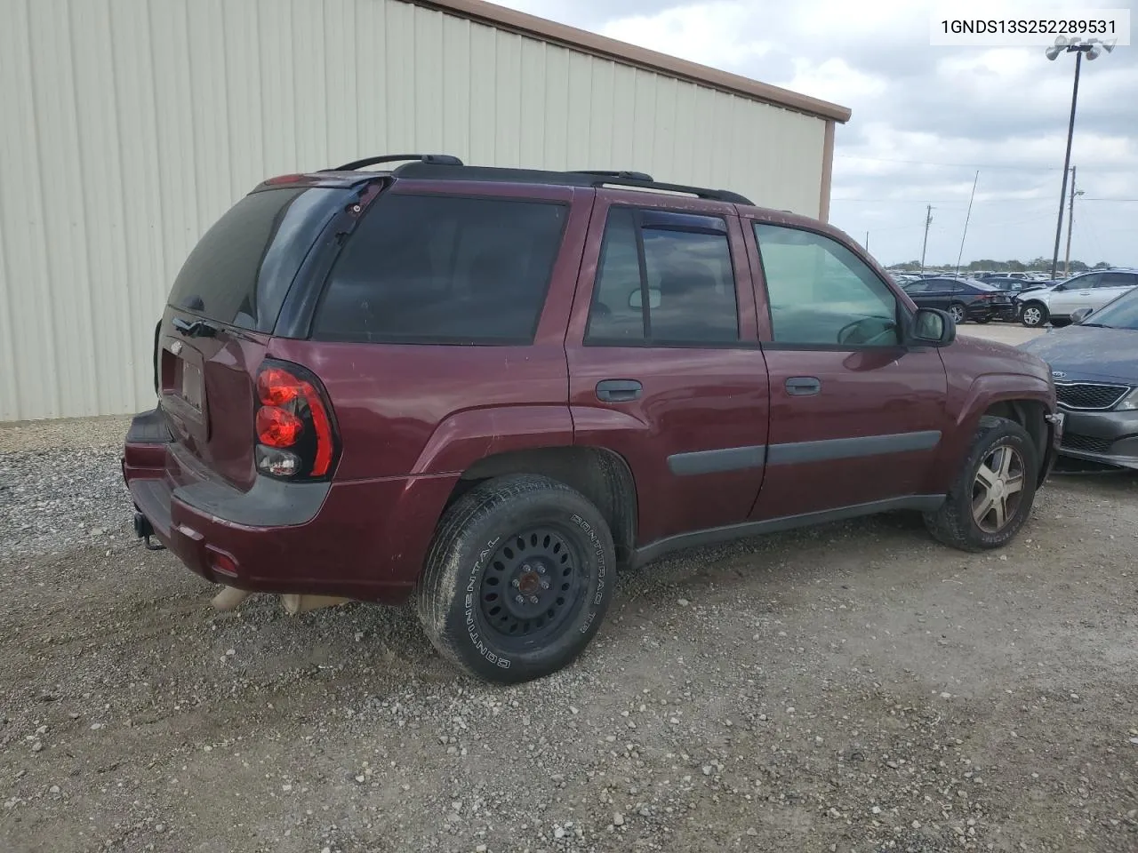 2005 Chevrolet Trailblazer Ls VIN: 1GNDS13S252289531 Lot: 79140834