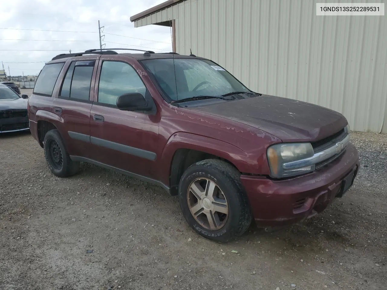 1GNDS13S252289531 2005 Chevrolet Trailblazer Ls