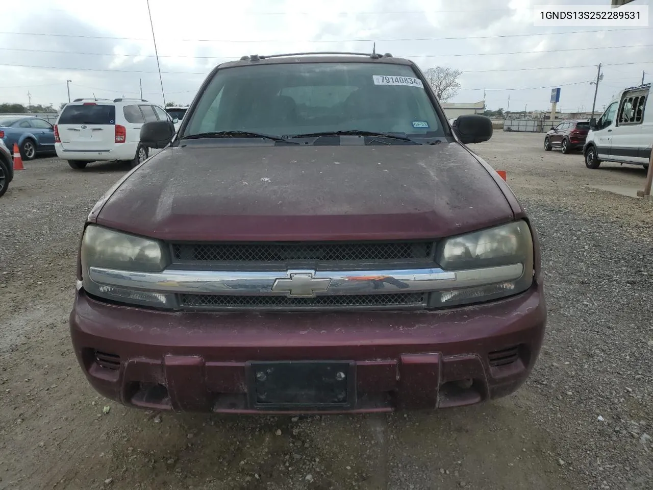 2005 Chevrolet Trailblazer Ls VIN: 1GNDS13S252289531 Lot: 79140834