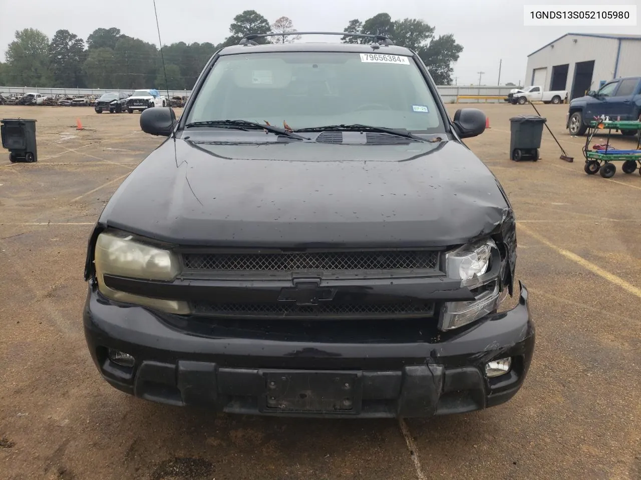 2005 Chevrolet Trailblazer Ls VIN: 1GNDS13S052105980 Lot: 79656384