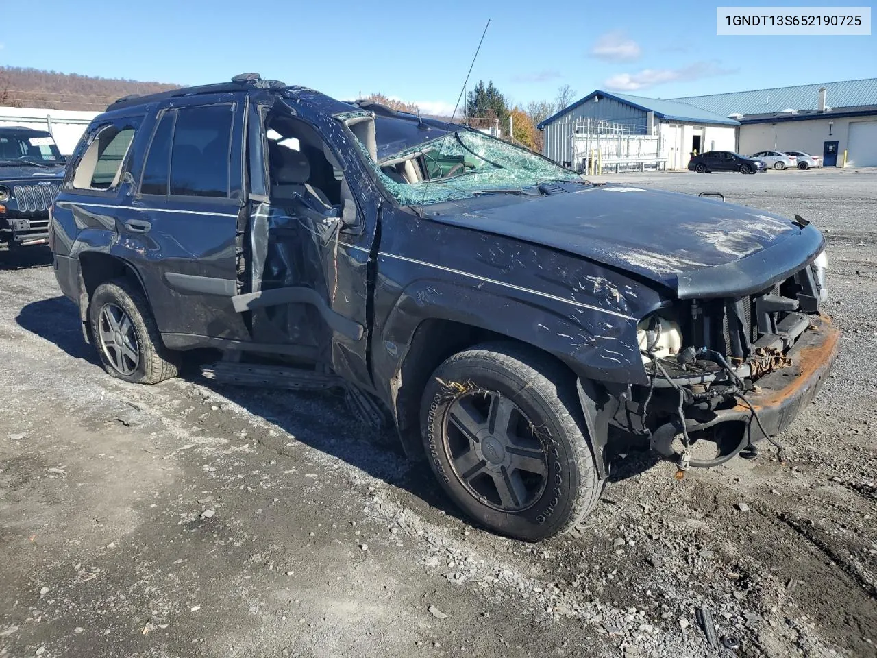 2005 Chevrolet Trailblazer Ls VIN: 1GNDT13S652190725 Lot: 80437024