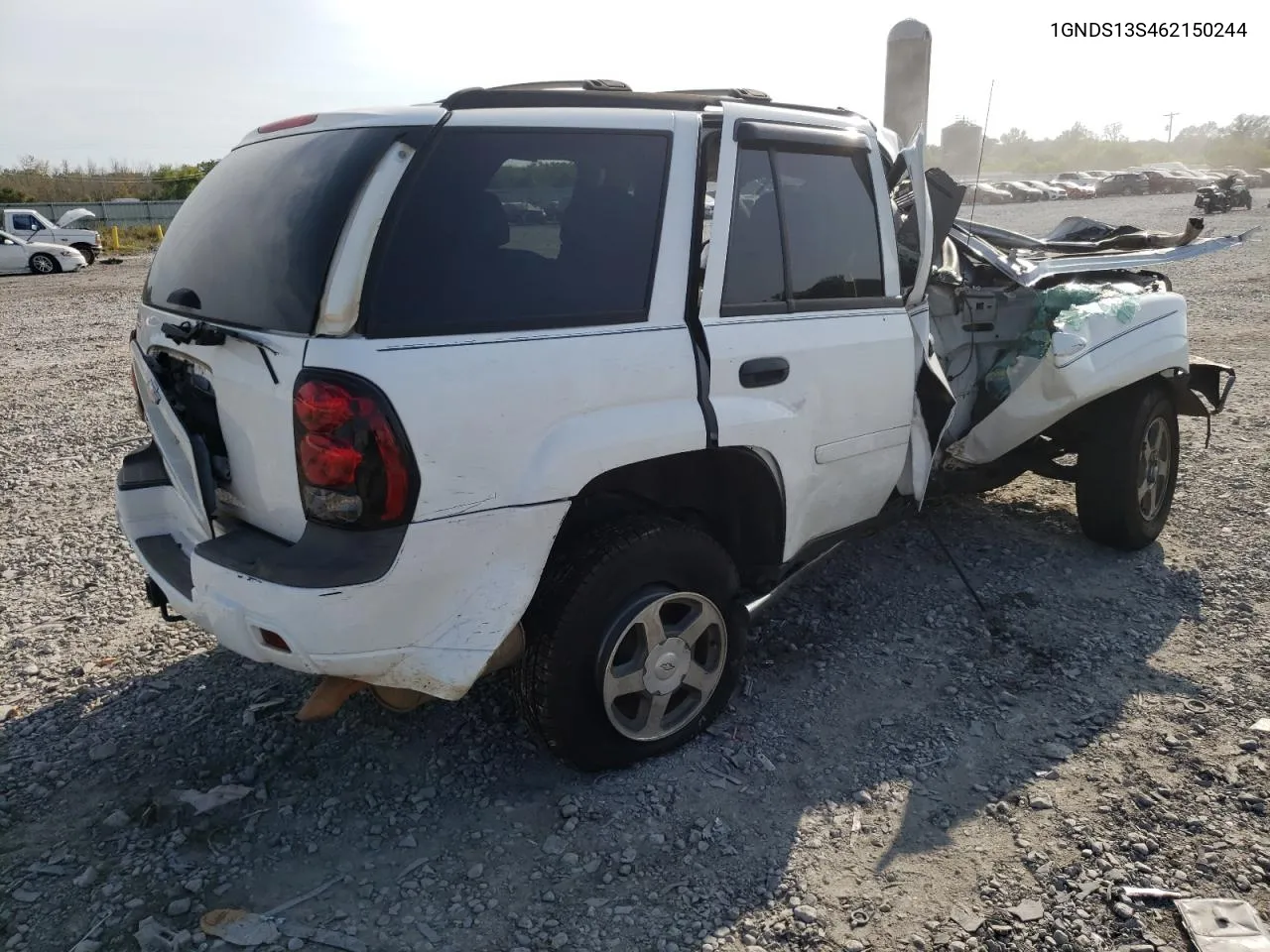 2006 Chevrolet Trailblazer Ls VIN: 1GNDS13S462150244 Lot: 66184744