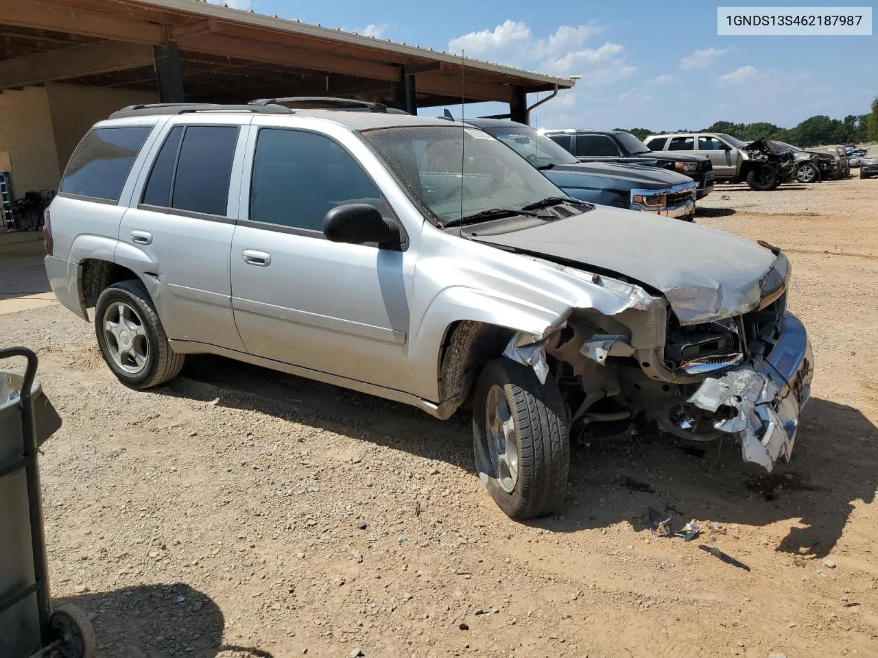 2006 Chevrolet Trailblazer Ls VIN: 1GNDS13S462187987 Lot: 69089534