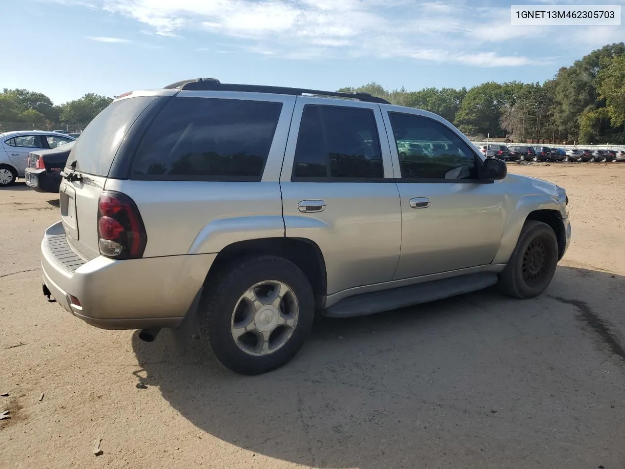 2006 Chevrolet Trailblazer Ls VIN: 1GNET13M462305703 Lot: 71399864