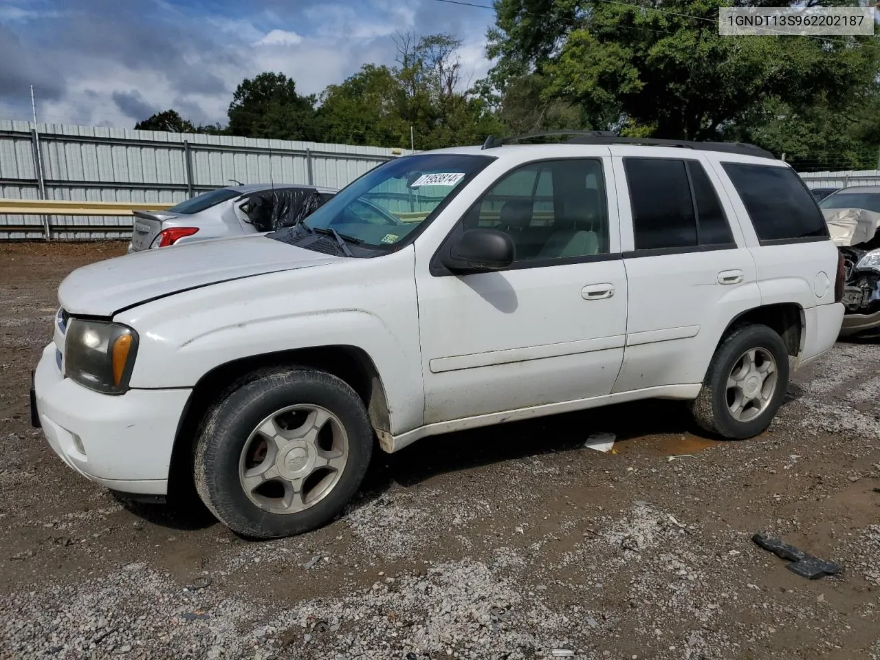 2006 Chevrolet Trailblazer Ls VIN: 1GNDT13S962202187 Lot: 71953814