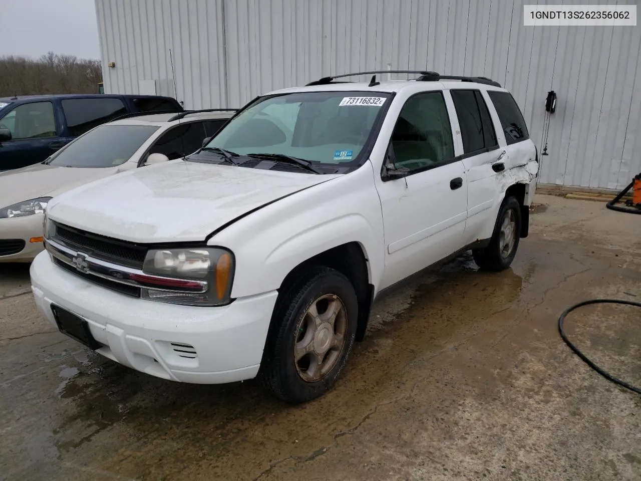 2006 Chevrolet Trailblazer Ls VIN: 1GNDT13S262356062 Lot: 73116832