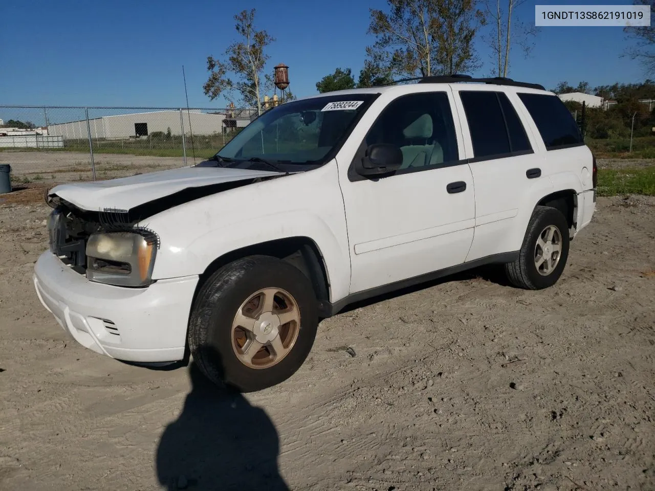 2006 Chevrolet Trailblazer Ls VIN: 1GNDT13S862191019 Lot: 75893244