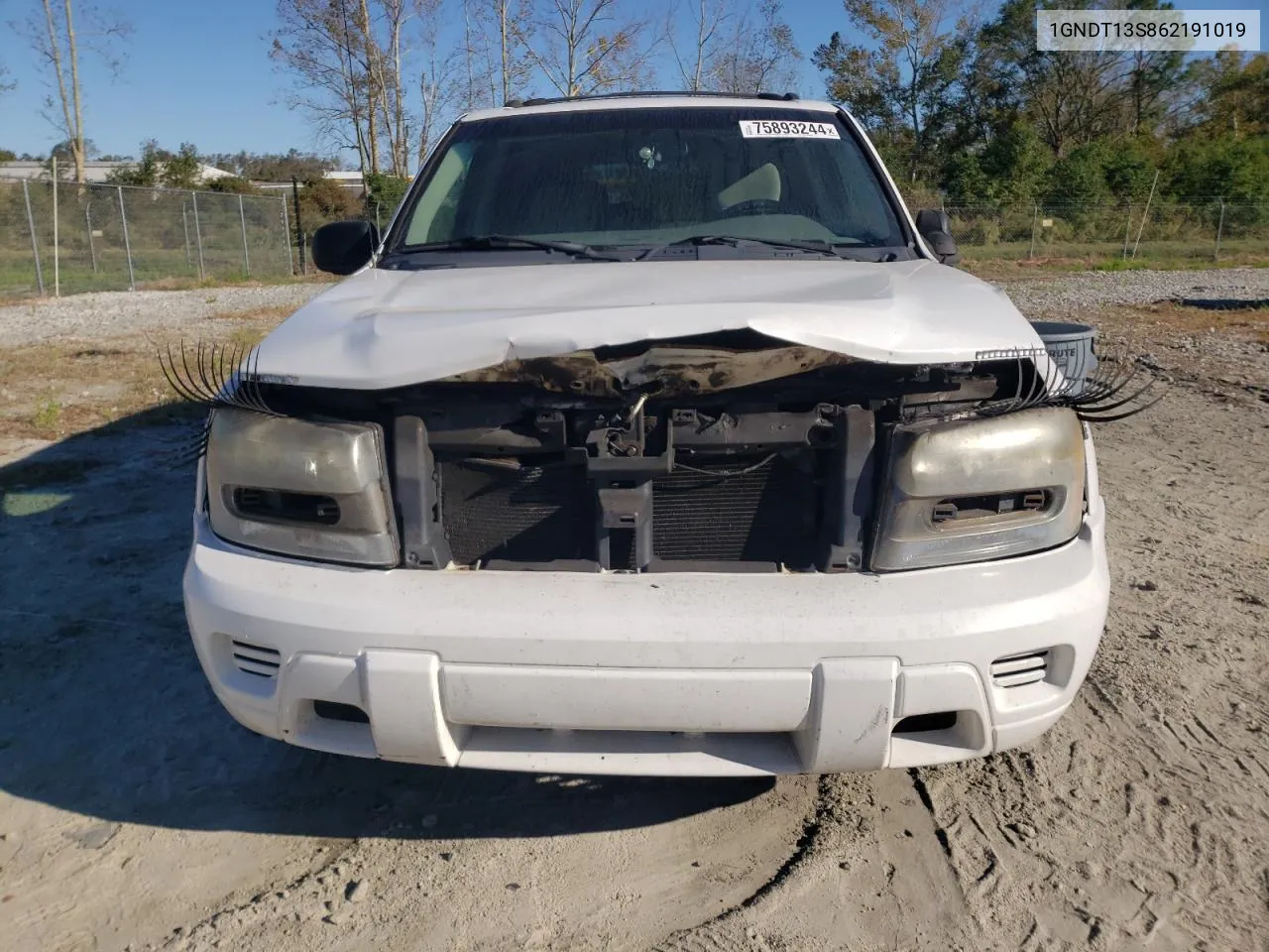 2006 Chevrolet Trailblazer Ls VIN: 1GNDT13S862191019 Lot: 75893244