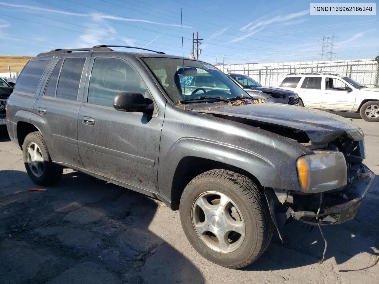 2006 Chevrolet Trailblazer Ls VIN: 1GNDT13S962186248 Lot: 78807444